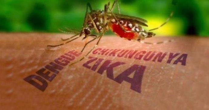 Primer caso de Zika en Chile transmitido por vía sexual