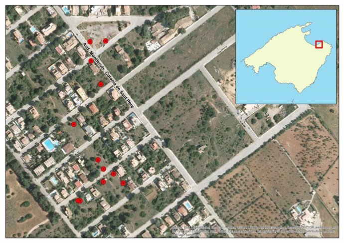 Primeros puntos afectados en la Colonia de Sant Pere