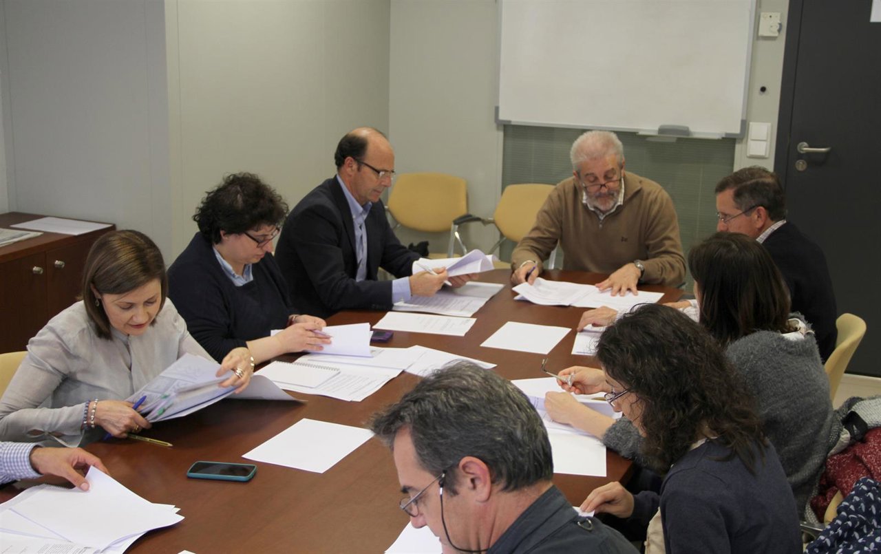 Comité Técnico del Registro de Tumores Infantiles de Castilla y León