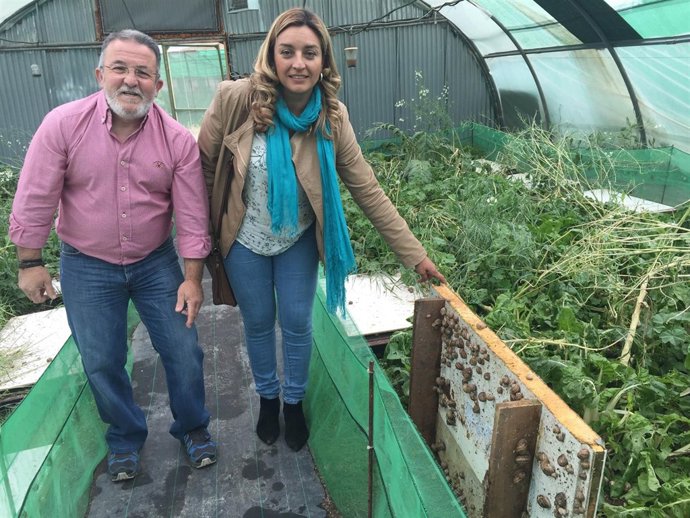 Visita de la Diputación de Almería a Caracoles 'El Perdiz' 