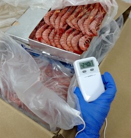 Inspección sanitaria de marisco de importación