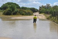 Las filiales empiezan a regresar de El Rocío con recorridos alterados