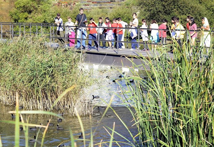 Acividades en el parque de Las Llamas