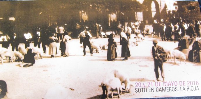 Feria ganadera de Soto en Cameros