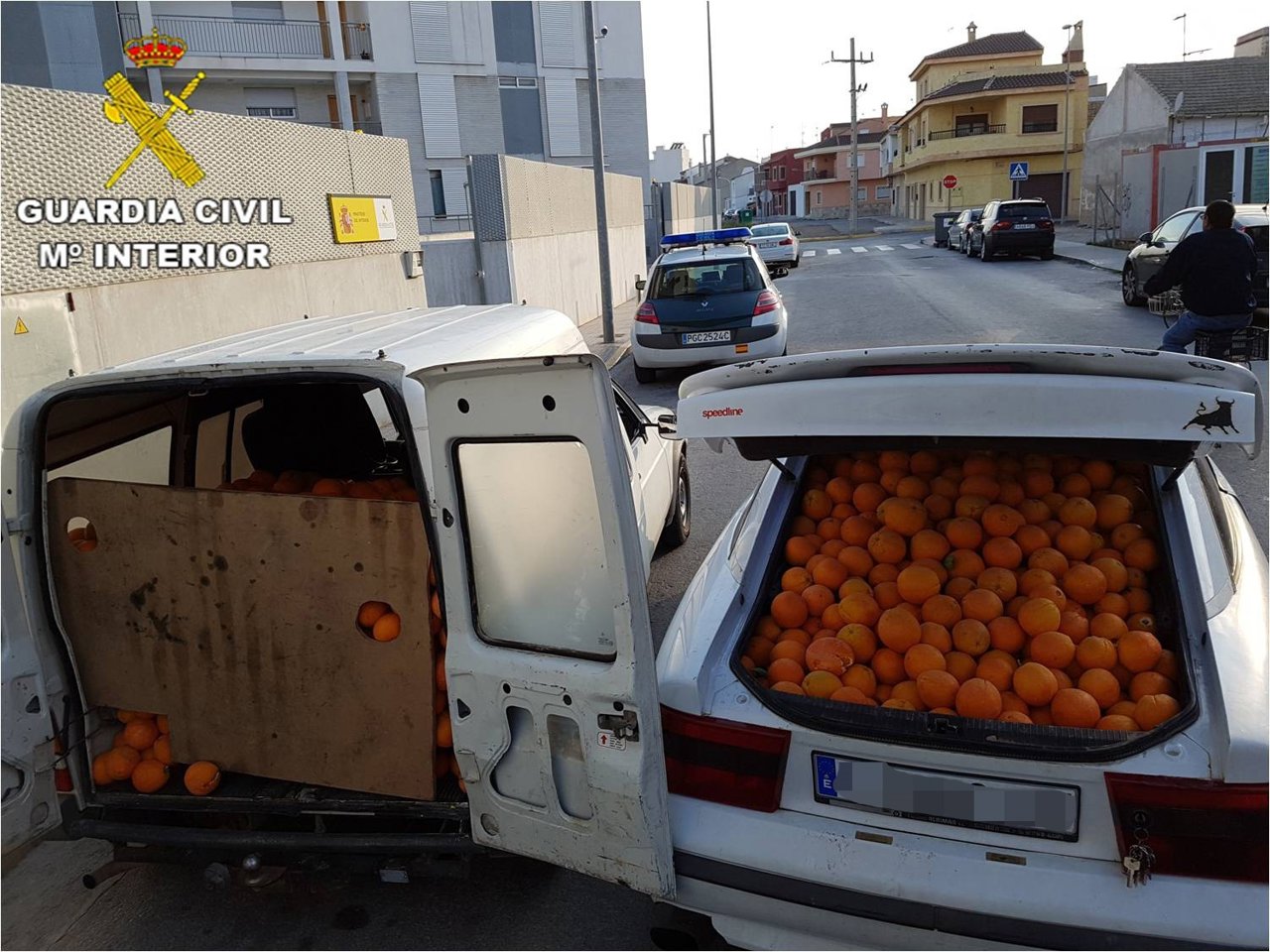 Los dos vehículos utilizados