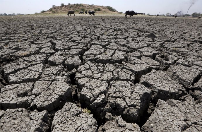 Sequía en India