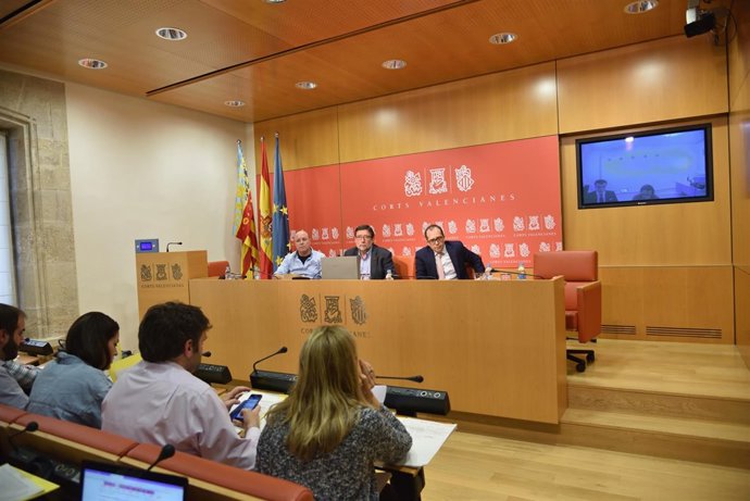 COMISIÓN DE INVESTIGACIÓN DE LA  ADJUDICACIÓN DE LAS PLAZAS DE RESIDENCIA