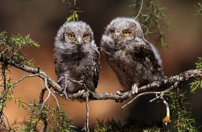 Una de las imágenes de la exposición 'Cazador de instantes' 