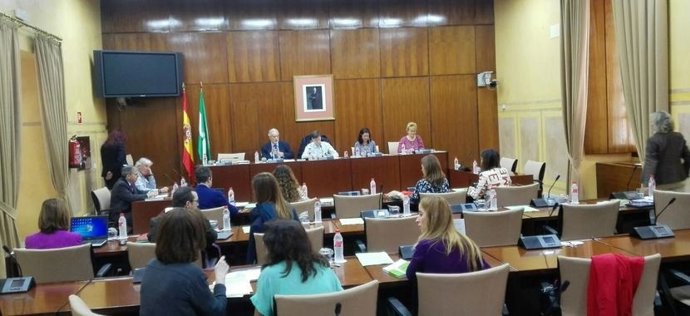 El Defensor presenta en Comisión un informe especial sobre agua