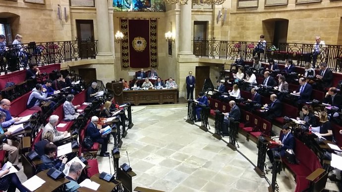Pleno de las Juntas Generales de Bizkaia