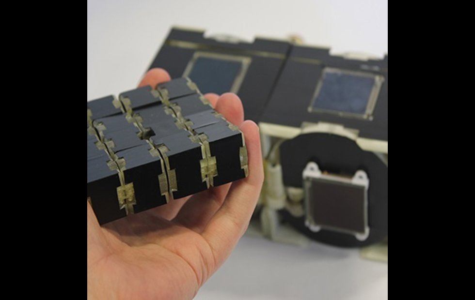 Foto: UNIVERSIDAD DE BRISTOL 