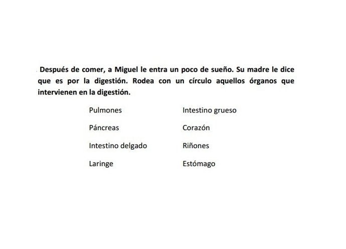 Reválida de 6º de Primaria