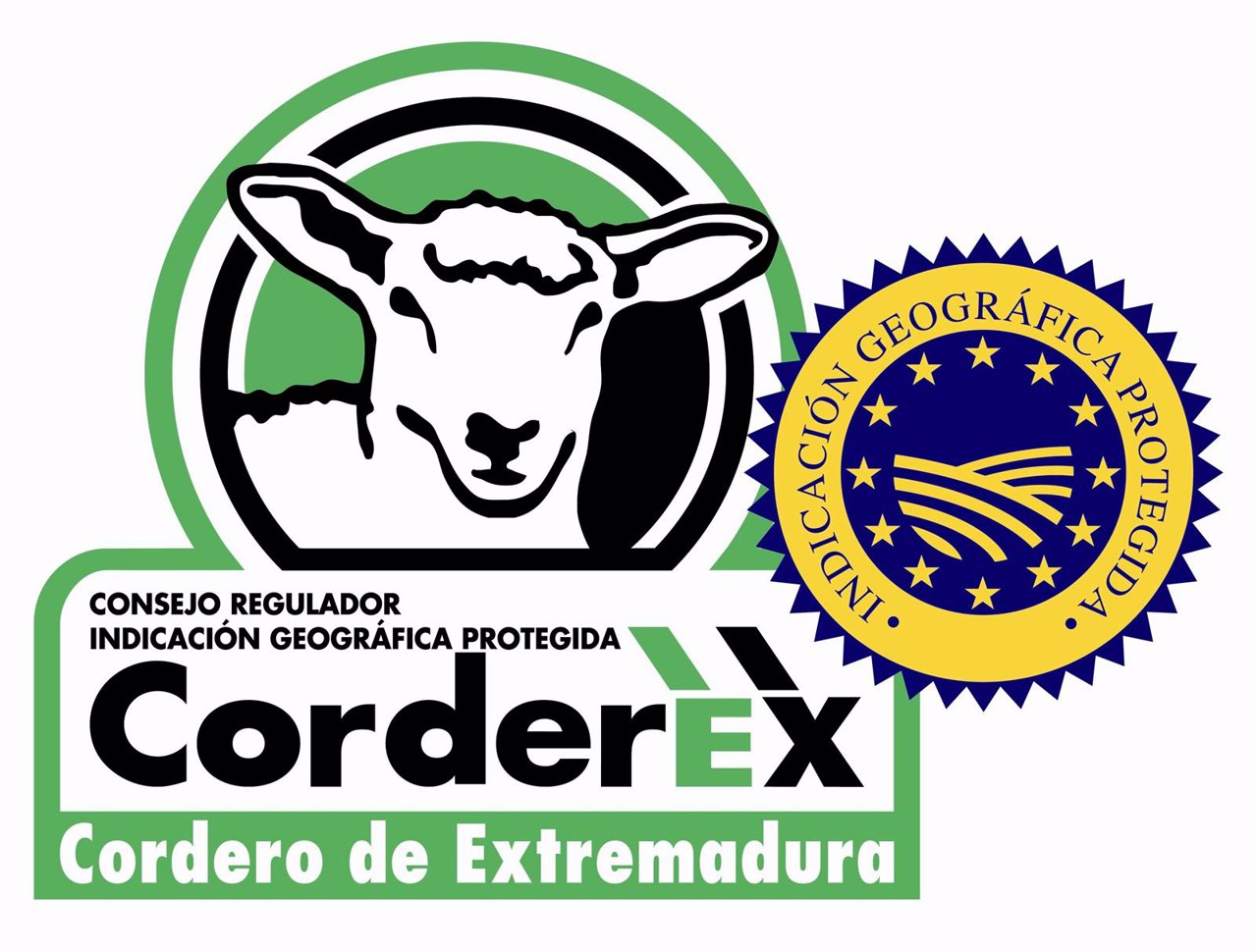 Logo de Corderex 