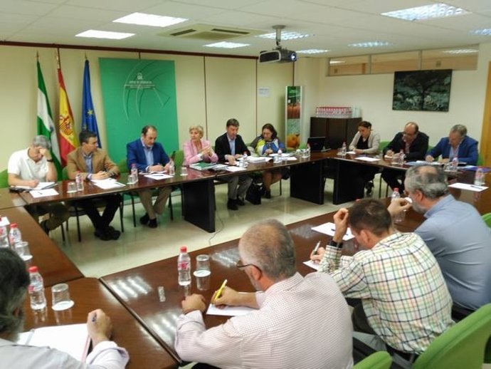 La directora general de Pesca de la Junta reunida con el sector en Almería