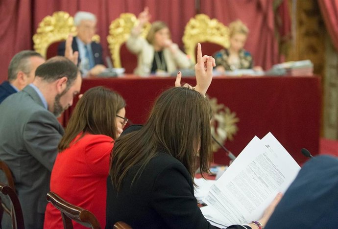 Diputados de la Diputación de Cádiz en un Pleno