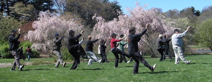 Tai-chi