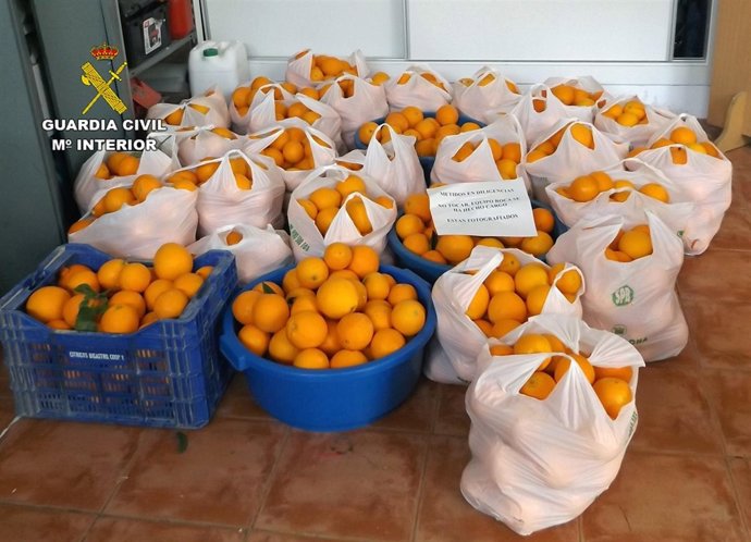 La Guardia Civil Detiene En Murcia A Los Tres Integrantes De Un Grupo Delictivo 