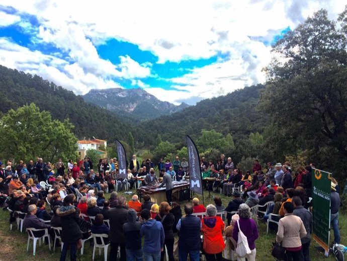 Concierto al aire libre de Música en Segura