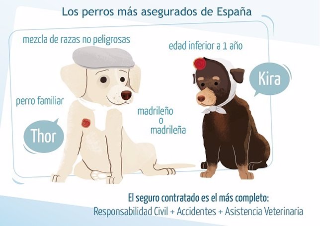 Thor: Así sería el prototipo de mascota más asegurada en España