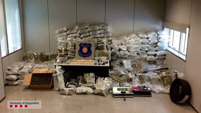 Marihuana encontrada por los Mossos en Sant Boi de Llobregat