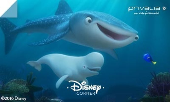 BUSCANDO A DORY PRIVALIA