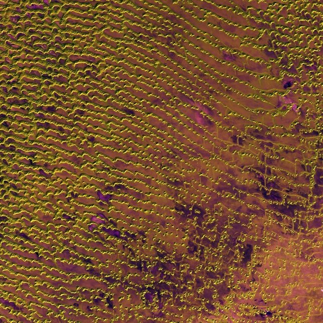 Desierto de Rub’ al Khali 