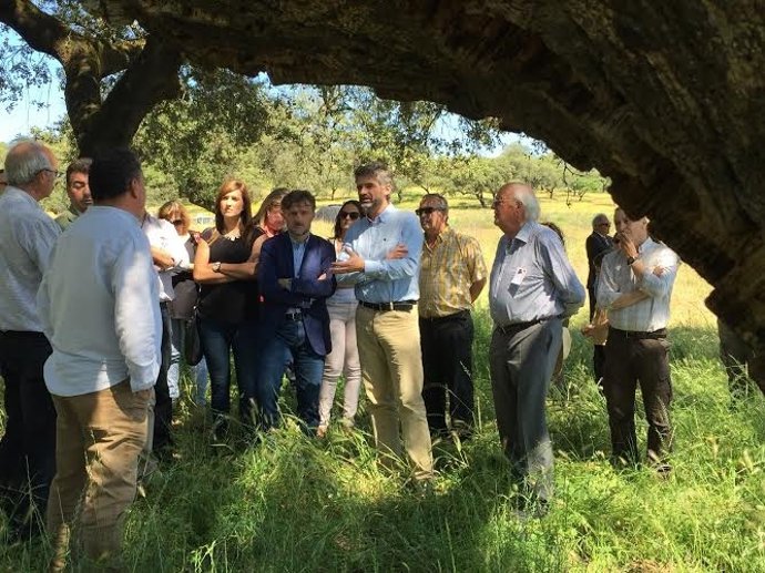El consejero de Medio Ambiente de la Junta, José Fiscal.