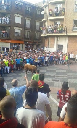 Toro enmaromado por las calles de Benavente en 2015