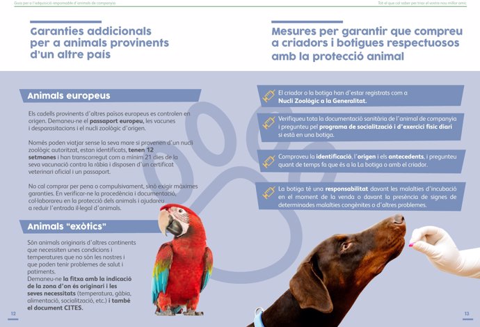 Guía para frenar la venta ilegal de animales provenientes del extranjero