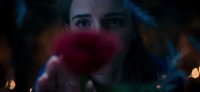 Tráiler de La Bella y la Bestia con Emma Watson... tras la rosa encantada