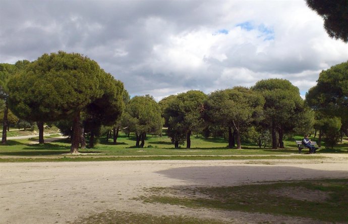 La Dehesa de Las Rozas