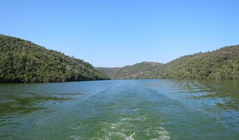 Cooperación y Desarrollo