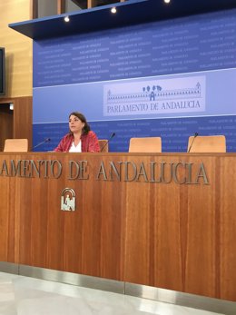 La portavoz adjunta del grupo parlamentario de IU Andalucía, Elena Cortés