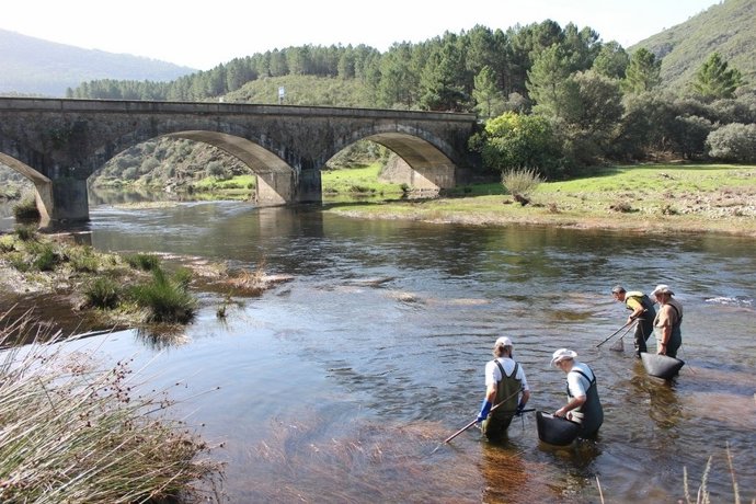 Actuación en uno de los ríos de Castilla y León