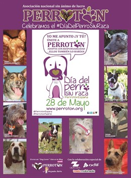 Cartel del Día del Perro Sin Raza, 28 de mayo