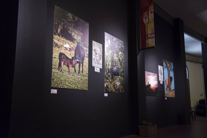 Exposición 'La tauromaquia es ecología'