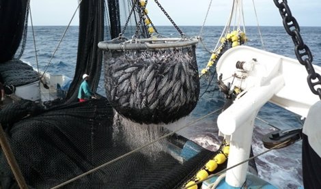 Cooperación y Desarrollo