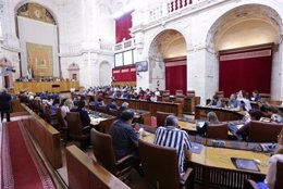 Imagen de la sesión plenaria en el Parlamento andaluz