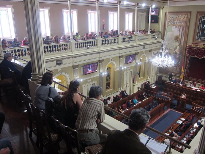 Afectados por los 'casos de bebés robados'  en el Parlamento de Canarias