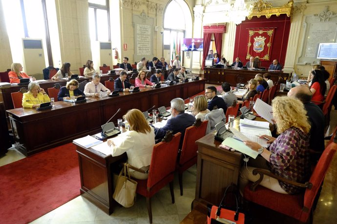 Pleno del Ayuntamiento de Málaga de mayo 