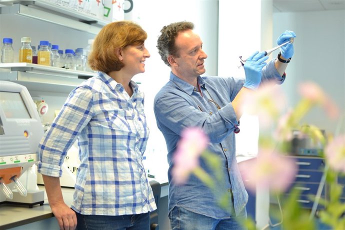 Marcos Egea y Julia Weiss observan un chip de secuenciación