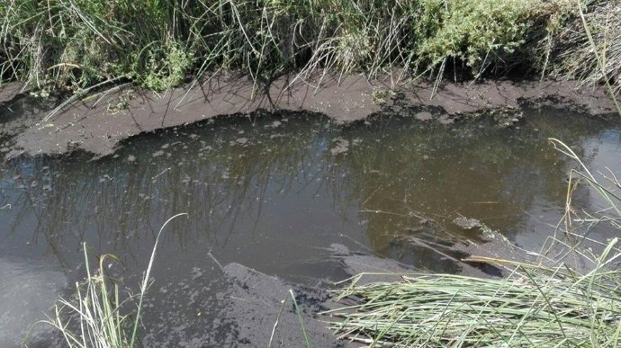Zona de Caño Marín, junto a la aldea de El Rocío