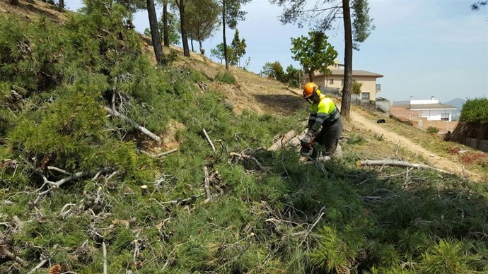 Nota Diputació Incendis (INCLOU FOTO)