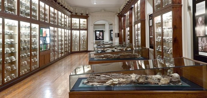 Una de las Salas del Museo Canario