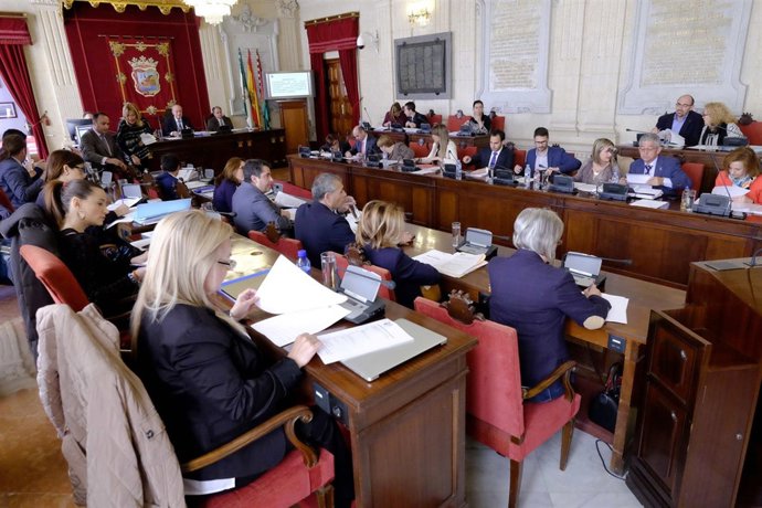 Pleno del Ayuntamiento de Málaga marzo 2016