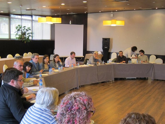 Coordinadora nacional de Anova