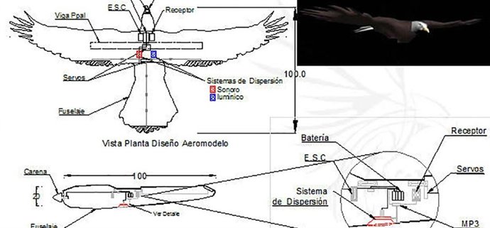 Aeromodelo contra el impacto de aves con aviones