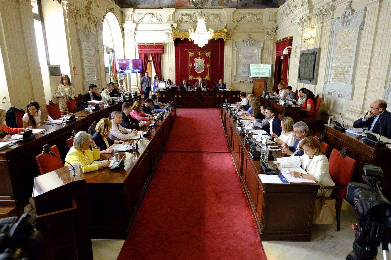 Pleno del Ayuntamiento de Málaga de mayo De la Torre