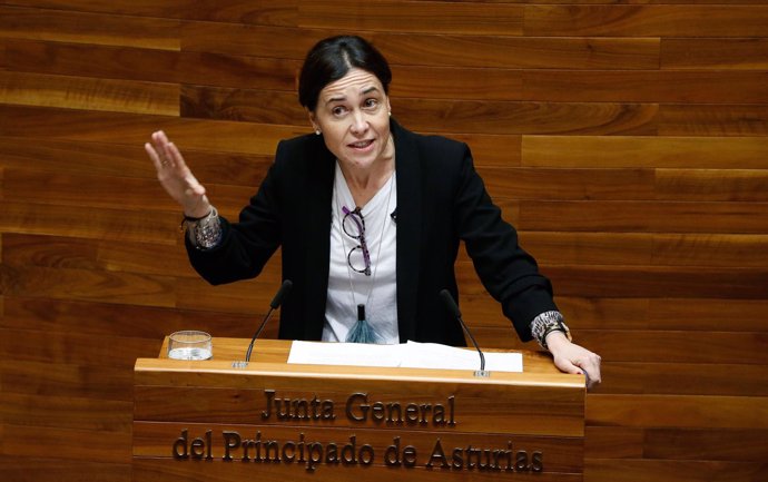  Dolores Carcedo, durante el Pleno. 
