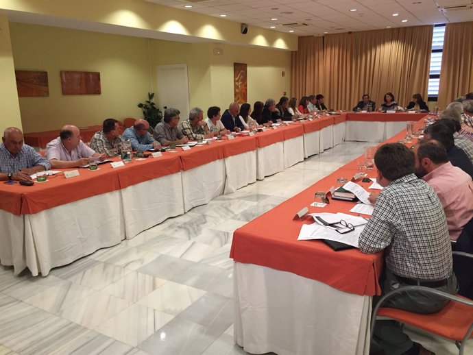 Sánchez Rubio presenta  el nuevo Plan al Consejo Asesor de Drogodependencias